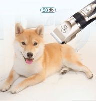 Heat Protection for Senior Dogs: Why It Matters More Than Ever