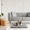 Vibrant Life Orthopedic Dog Bed, Large, Grey 35" x 25"