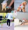 Portable Pet Water Bottle with Food Container - Leakproof Travel Water Dispenser & Collapsible Food Storage for Dogs, Cats, Outdoor Activities