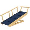 PawHut Adjustable Height Dog Ramp, Foldable Pet Stairs with Non-Slip Mat for All Dogs