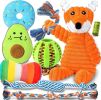 Nontoxic Interactive Teething & Dental Toys