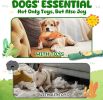 2-Pack Durable Dog Chew Toys for Aggressive Chewers