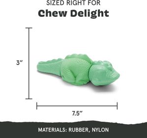 Super Chewer Tough Dog Toy for Aggressive Chewers (Large Iguana)