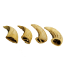 Natural Buffalo Horn Dog Chews | Long-Lasting Dental Treats