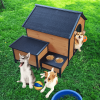 Dog Shelter Premium and Durable Pet House for Play