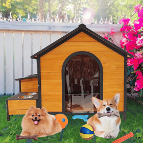 Dog Shelter Premium and Durable Pet House for Play