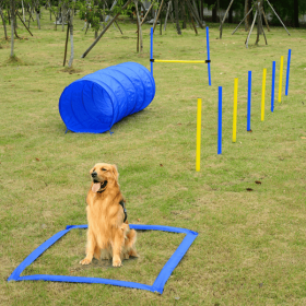 Dog agility training equipment