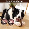 Dog Chew Toys for Aggressive Chewers – Indestructible Fish Bone Toy