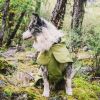Dog Coats Small Waterproof, Warm Sport Vest – Adjustable & Cozy Dog Jacket