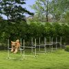 PawHut 6 Piece Dog Agility Set with Adjustable Height Jump Bars, Carry Bag, Displacing Top Bar, White