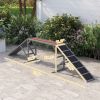 PawHut Dog Agility Equipment Ramp with Safety Bar, Non-slip Surface, for Walk and Pause Training, Gray