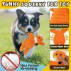 Nontoxic Interactive Teething & Dental Toys
