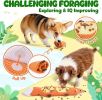 2-Pack Durable Dog Chew Toys for Aggressive Chewers