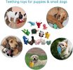Squeaky Plush Dog Toy Pack