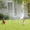 PawHut 6 Piece Dog Agility Training Equipment Set with 3 Hurdles, Spray Water Tube, Whistle, Carry Bag, White