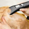 Black Pet Shaver for Dog Pet Grooming Supplies