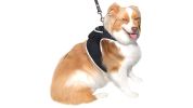 Mini Waterproof GPS Tracker for Dog Collar w/ Perimeter Fencing System Size:M