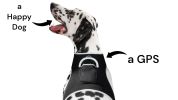 GPS Tag Pet Tracker Collar Waterproof Surveillance Tracking Device NEW Size:L