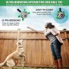 Interactive Dog Soccer Ball with Grab Tabs – Floating & Durable Puppy Toy