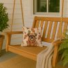 Belge Brussels Griffon Heirloom Fall Throw Pillow Decorative Indoor Outdoor Accent Cushion for Couch, Bed or Patio, 14Hx14W