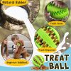 Nontoxic Interactive Teething & Dental Toys
