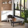 Stainless Steel Pet Bowls with Heavy-Duty Wooden Feeding Station