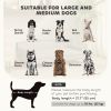Elevated Pet Sofa Bed – Durable Dog Couch with Cushion, Wooden Legs, Washable Cover