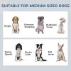 Pet Food Storage Container Dog Feeding Station w/ Adjustable Panel, Hooks, for Medium Sized Dogs, Black