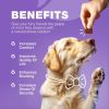 Dog Vitamins 15 in 1 Multivitamin Chews with MSM for Hip & Joint Health Dog Supplement for Itchy Skin Relief Multivitamin for Dogs Immune Support