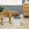 PawHut Raised Pet Feeder, Large Pet Dish Bowl Set with Storage Drawer, 2 Steel Bowls, White