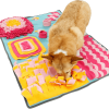 Pet Life Interactive Pet Snuffle Mat Sniffer Snack for Dogs