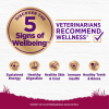 Wellness Pet Products Dog Food - Turkey and Oatmeal Recipe - Case Of 6 - 4 Lb.