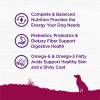 Wellness Pet Products Dog Food - Turkey and Oatmeal Recipe - Case Of 6 - 4 Lb.