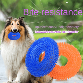 Dog Squeaky Ball Toys 2 Pack | Durable Chew & Dental Toys (Color: Blue, size: large size)