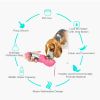 Portable Leakproof Pet Water Dispenser with Built-in Bowl for Dogs