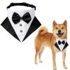 Dog Wedding Suit Collar & Triangle Scarf