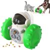 Interactive Slow Feeder & Treat Dispenser