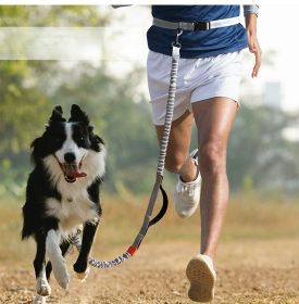 Hands-Free Dog Leash for Medium & Large Breeds (Specification (L * W): 2.5*160cm, colour: Orange -4211)