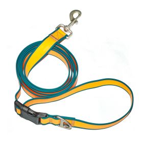 6-in-1 Hands-Free Dog Leash – Multifunction Adjustable Waist & Shoulder Walking Lead (Color: Orange-blue)