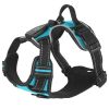 Light Up Dog Harness LED Rechargeable | No Pull Safety Vest with Handle for Dogs