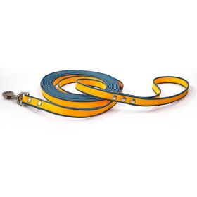 Dog Training Rope Leash 4.92FT | Tangle-Free Two-Color Walking Lead (Color: Orange-blue, size: 10M)