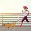 Dual Dog Leash – Walk 2 Dogs at Once, Tangle-Free & Reflective