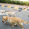 Dual Dog Leash – Walk 2 Dogs at Once, Tangle-Free & Reflective