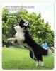 Dog Frisbee Flywheel Toy | Interactive Fetch & Training Toy for Dogs
