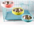Stainless steel pet bowl