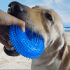 Dog Squeaky Ball Toys 2 Pack | Durable Chew & Dental Toys