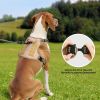 Adjustable Dog Harness for Large Dogs | Outdoor Vest Harness