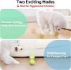 Interactive Dog Toys – Durable Automatic Bouncing & Vibrating Interactive Dog Ball for Smart Play