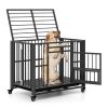 Heavy-Duty Foldable Dog Crate