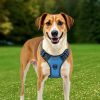 Adjustable Dog Harness for Large Dogs | Outdoor Vest Harness